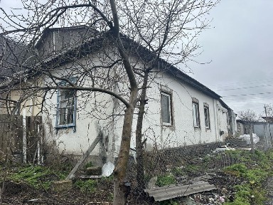 Київська область, Бориспіль