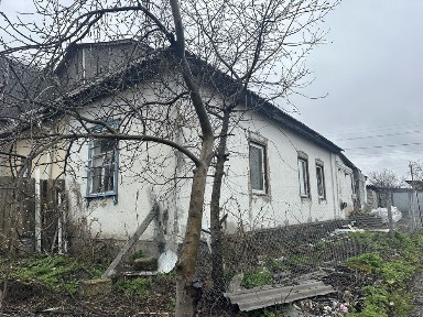 Київська область, Бориспіль