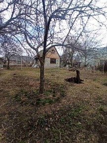Черкаська область, Черкаси