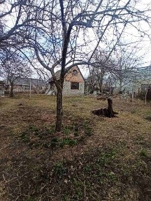 Черкаська область, Черкаси
