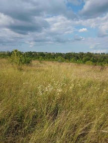 Продам дачу в Аксютовке Змиевское направление