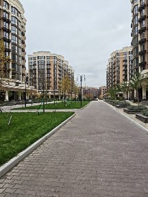 Київська область, Софіївська Борщагівка