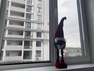 Київська область, Ірпінь