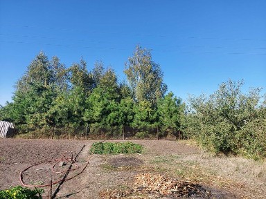 Дніпропетровська область, Любимівка