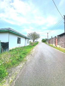 Рівненська область, Рівне