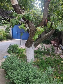 Продам приватний будинок в мальовничому місці нашого міста.