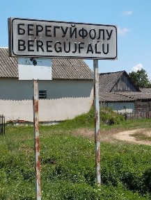 Цена снижена! Продам дом Закарпатье Берегуйфолу