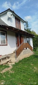 Будинок з ставком у Карпатах