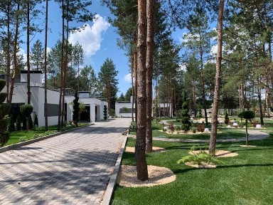 Продаж будинку в сосновому лісі | Без комісії | 5 хв Бровари | ТОРГ