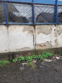 Оренда приміщення Іршава центр біля річки
