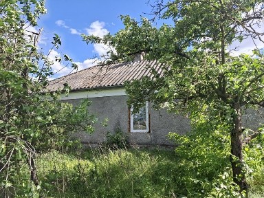 Будинок в селі Катеринка