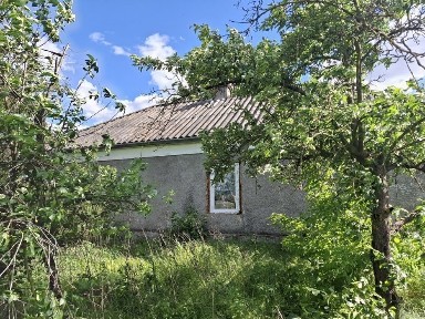 Будинок в селі Катеринка