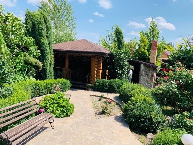 Київська область, Київ, Голосіївський