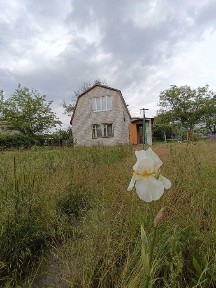 Дніпропетровська область, Дніпро, Амур-Нижньодніпровський