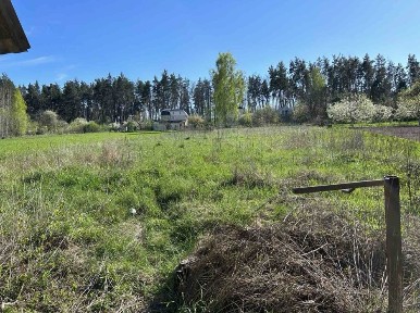 Київська область, Дзвінкове
