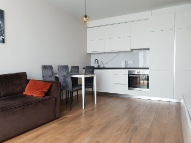 Квартира з окремою спальней в <a href='/newbuilding/6369/view/zk-faina-taun'>Файна Таун</a> подобово. Нивки. Салютна