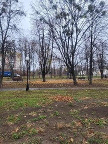 Харківська область, Харків, Індустріальний