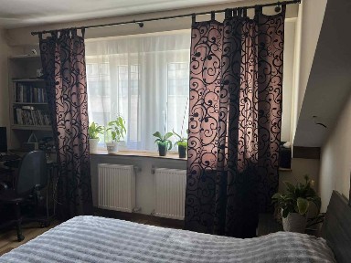 Закарпатська область, Ужгород