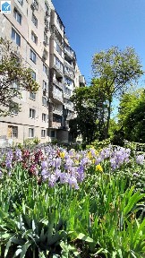 Одеса, Мудрого