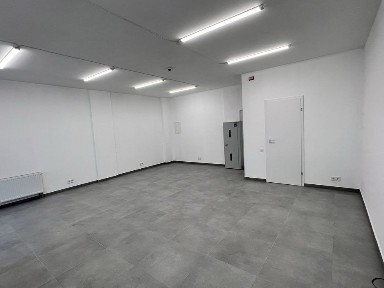 Київська область, Київ, Голосіївський