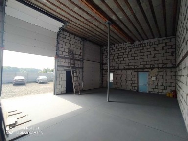 Київська область, Нове