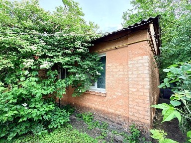 Київська область, Біла Церква