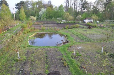 Продаж дачі Камʼяна Гора