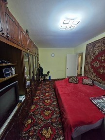 Житомирська область, Житомир, Польова