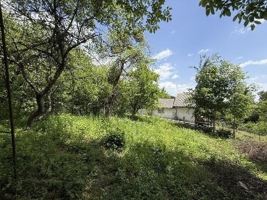 Продаж Дачі на Роші, садівниче товариство «Легмашовець-1»