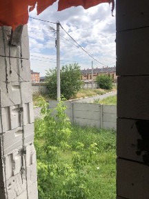 Київська область, Ірпінь