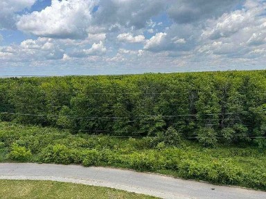 Харківська область, Харків, Шевченківський