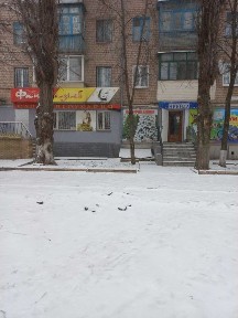 Дніпропетровська область, Кривий Ріг, Саксаганський