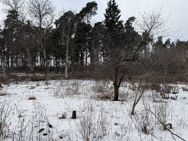 Земельна ділянка та будинок на межі з лісом 20 соток с. Геронимівка