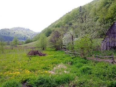 Продається будинок із землею