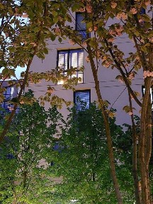 Жк <a href='/newbuilding/6369/view/zk-faina-taun'>Файна Таун</a>. Здається квартира в оренду
