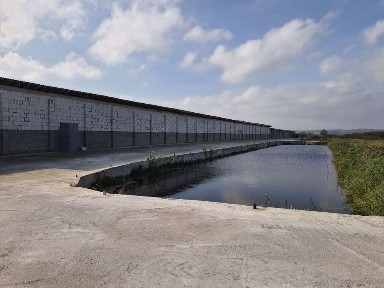 Київська область, Білогородка