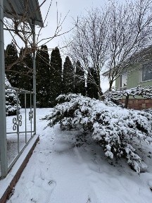 Продається якісний одноповерховий будинок, гостьовий будинок, ландшафт