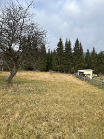 Продаж будинку який межує з лісом, хороший доїзд