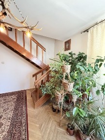 Львівська область, Львів, Галицький