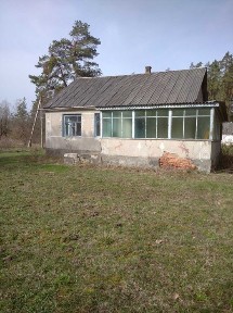 Група будівель 360.2 м2, Плужне, вул. Партизанська 49