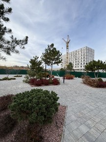 Київська область, Буча
