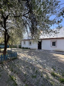 Продам будинок в селі Терешівці
