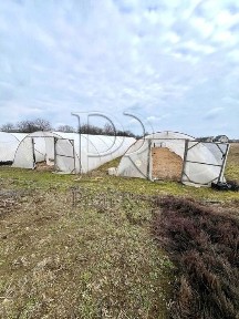 Продаж ТЕПЛИЧНЕ ГОСПОДАРСТВО Русанів/Гоголів/Бровари/Перемога