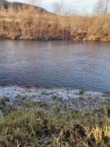 Продам Дачу в чудовій місцевості на берегу казковой річці.