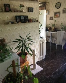 Продається 3 кім. квартира з кухнею-студією в районі Басів