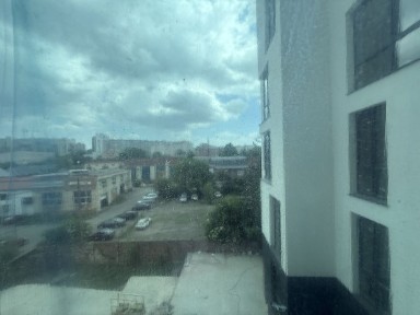 Чернівецька область, Чернівці