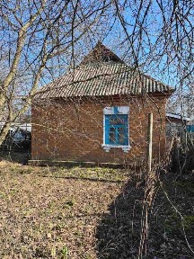 Лісовичі, (Вишгород) цегляний будинок 54 кв. м з ділянкою 45 соток
