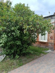 Швидко продам 2-х ком. кв вул. Володимирська (Москалівка)