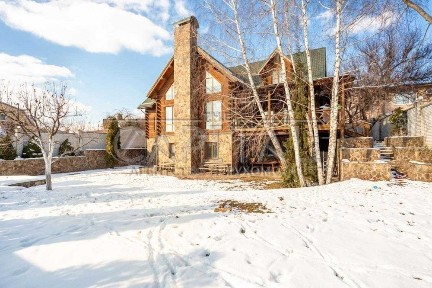 Продам сімейний будинок 450м2, 9сот, гараж / Петропавлівська борщагівка