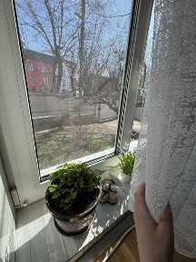 Київська область, Гостомель